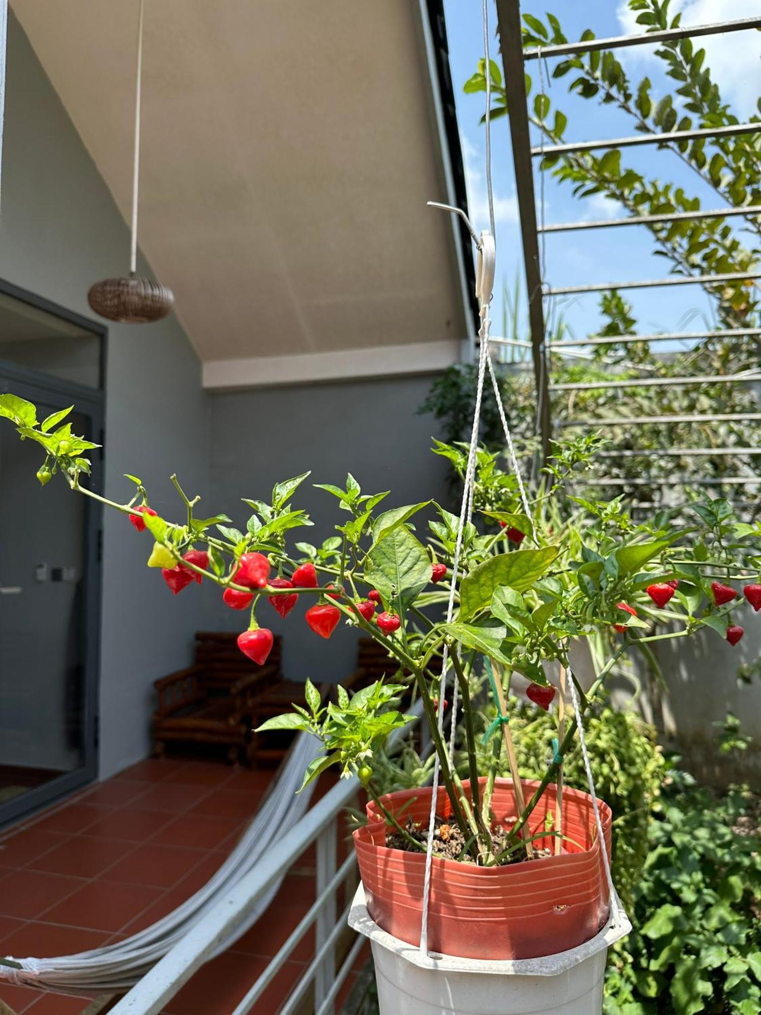 Cato Homestay Can Tho Bagian luar foto